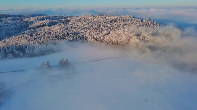 Aerial View of Snowy Forest and Fields as Morning Fog Lifts