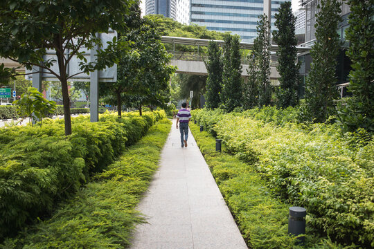 Man walking along green pedestrian path with lush bushes and trees surrounded by modern architecture, Singapore