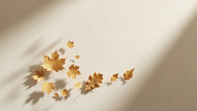 Maple Leaves with Autumn Backdrop and Fall Copy Space
