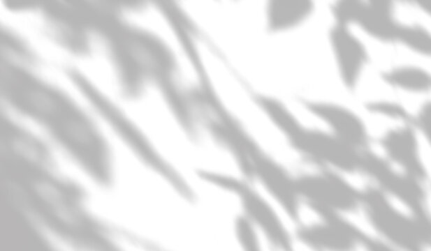Abstract shadow overlay effect of tree leaves and branches on white background