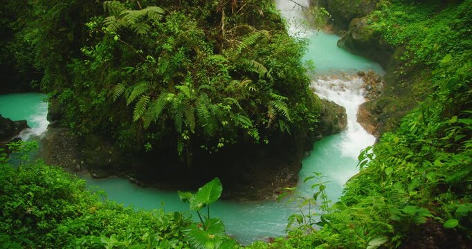 Turquoise river water swirling around rock covered with dense tropical ferns in forest of Costa Rica