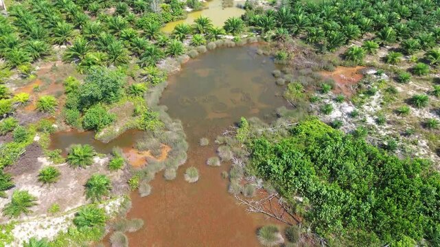 Top down drone footage of acidic mine pit water and vegetation on former tin mining site
