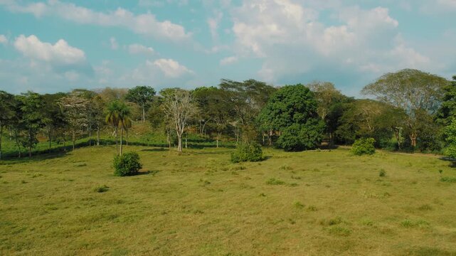 Lush green pasture field sits under blue cloudy sky in rural Costa Rica
