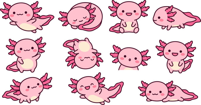 Cute Kawaii Pink Axolotl Vector Element Set Featuring Adorable Aquatic Salamander Characters in Various Poses for Sticker and Graphic Patterns