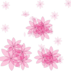 Obraz premium Pink floral vector background, delicate translucent flower petals, soft cherry blossom pattern for wedding invitations