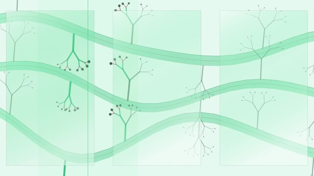 Digital information streams across this network before entering data servers beyond glass panels inside a server room for a data center or Internet service provider