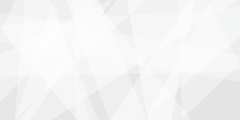 Fototapeta premium Abstract White and Light Grey Geometric Angular Shapes Background .