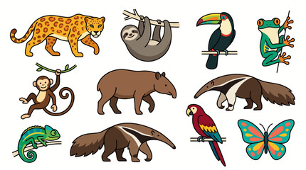 Naklejka premium Cute Rainforest Animals Flat Vector Illustration Set