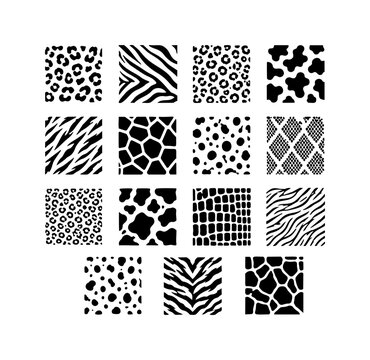 Animal Print Pattern Set with Leopard, Zebra and Snake Skin Texture Design