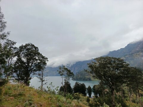 Scenic View of Segara Anak Lake Surrounded by Pine Trees on Mount Rinjani, Lombok Indonesia