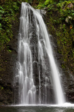 Tall waterfall cascades into pool, lush green forest surrounds. Salto do Prego, Sao Miguel, Azores, Portugal. Natural water flow in scenic landscape.
