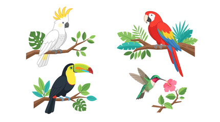 Naklejka premium Flat vector illustration set of exotic tropical birds including cockatoo, toucan, parrot, and hummingbird with flowers and leaves