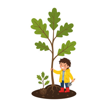 A cute cartoon illustration of a young child planting a small oak tree in the garden with a gardening shovel