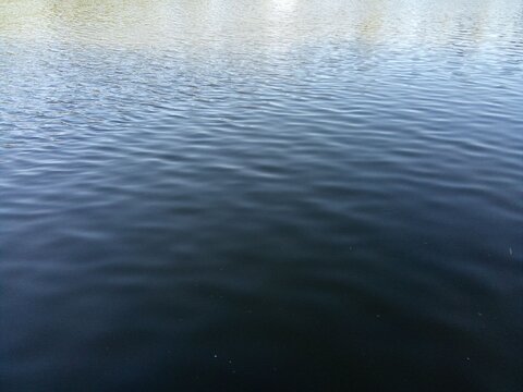 Calm Dark Blue Water Surface Texture with Gentle Ripples and Reflections.

