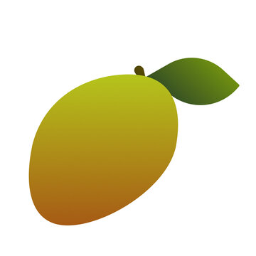 raw green mango vector illustration