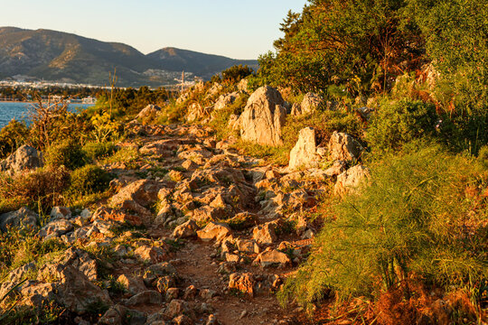 Rocky trail winding along a coastal path, sunlight illuminating the landscape by the ocean with mountains in the background