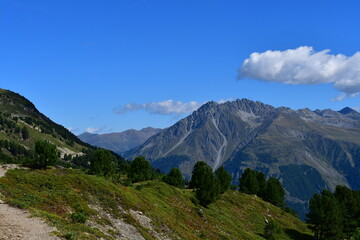 Obraz premium Schöne Landschaft auf der Haideralm in Südtirol 