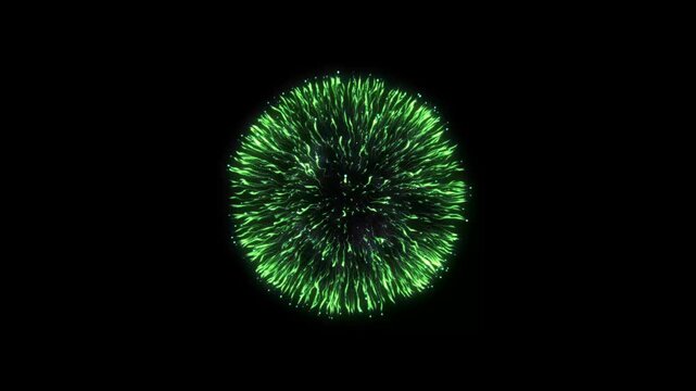 Fireworks exploding with falling red rose petals on a black background for a festive celebration with vibrant green fireworks exploding against video vibrant pyrotechnics