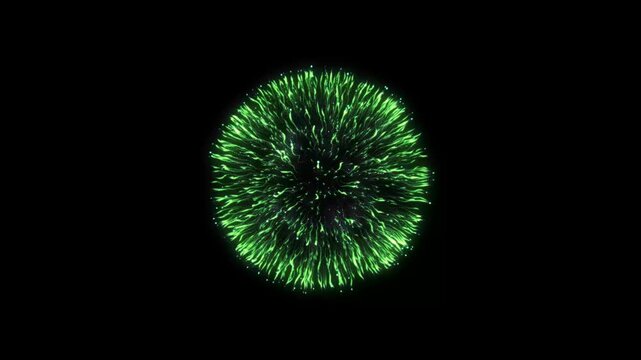 Fireworks exploding with floating rose petals against a bright green screen background for digital compositing with firework explosion surrounded video colorful firework