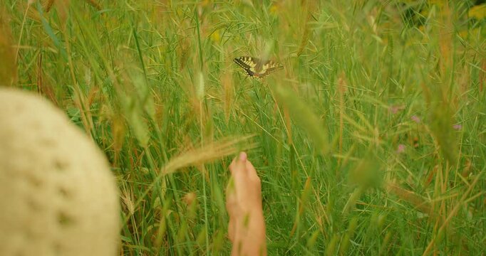 Butterfly resting among tall grass as woman watches it on her hike to Monte Solaro on Capri Island