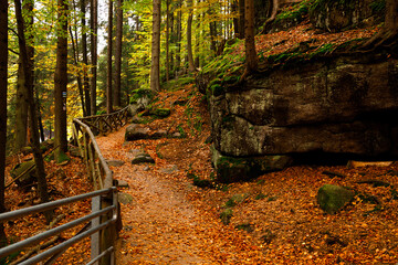 Fototapeta premium Hiking trail. Autumn landscape of a trail in the forest of the Karkonosze Mountain National Park in Poland, Europe.
