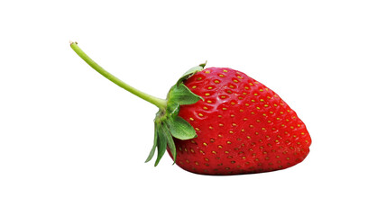 Fresh ripe red strawberry with green stem and leaves isolated on white background red berry leafy calyx sweet berry raw food seed texture cut out single object organic food plant part © Adiba
