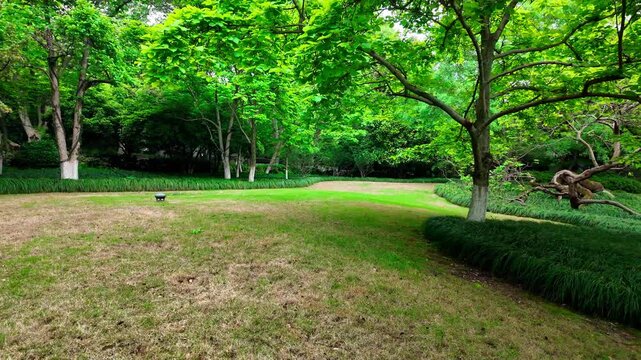 A serene outdoor park scene with mixed grass lawn, trees, paved path, and a few people nearby under natural daylight.