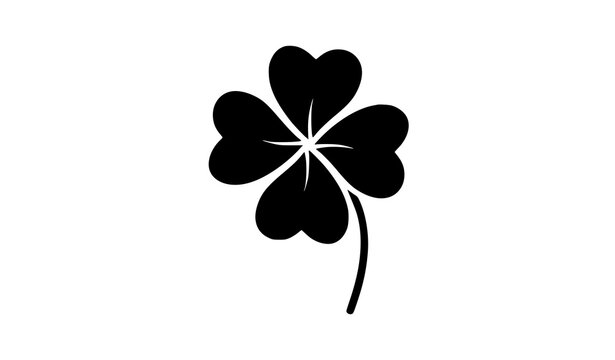 Natural black four leaf clover good luck fortune botanical vector illustration