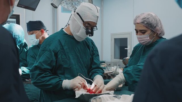 Specialists carefully handle a donated organ before implantation into the recipient. Precision work, clinical coordination and preparation during a real transplantation procedure
