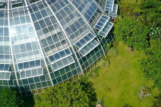 The scene shows a large greenhouse with glass panels. It sits in a garden area with various plants and green grass around it