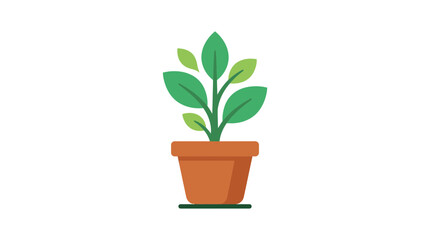 Fototapeta premium Green plant growing in a terracotta pot flat design