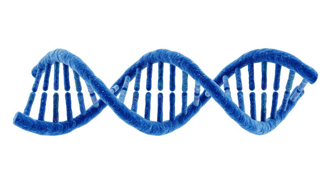 Blue double helix dna strand representing genetic information and biological science on transparent background.