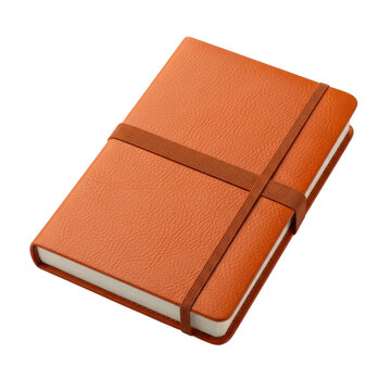 Brown leather notebook closed with elastic band