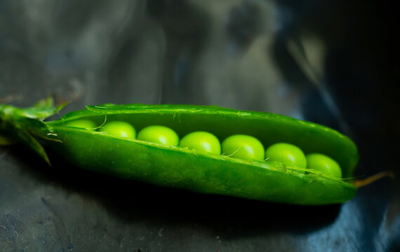 Close-up, macro shot of an open green pea pod on a dark background.