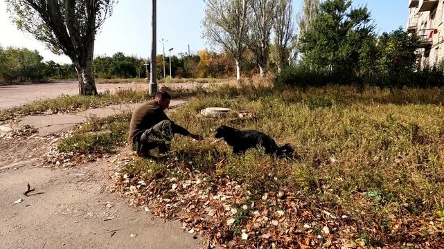 Male volunteer trying to feed scared dog to evacuate from frontline city. Russian attacks endanger lives daily both human and animal in ukrainian territory. The scene shows need to protect innocent