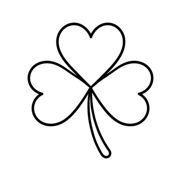 Three leaf clover plant icon for st patricks day luck symbol graphic.