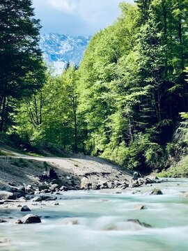 Breathtaking Partnach River in the Bavarian Alps, Germany, featuring dramatic limestone cliffs, crystal-clear rushing water, and lush green vegetation. 