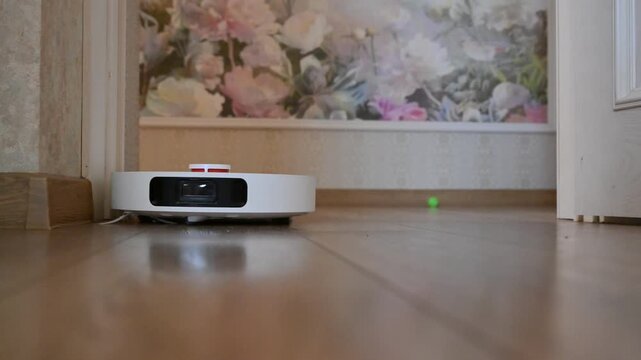 A robot vacuum cleaner at work and a cat playing