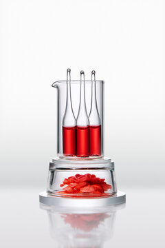 test tubes with red liquid and camellia