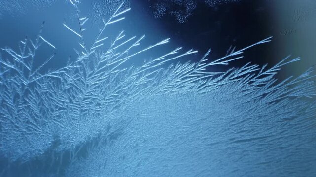 Frost crystal growth time-lapse video. Macro detail of ice needles forming on cold glass surface with blue lighting. Abstract winter texture for science, nature, and holiday backgrounds.