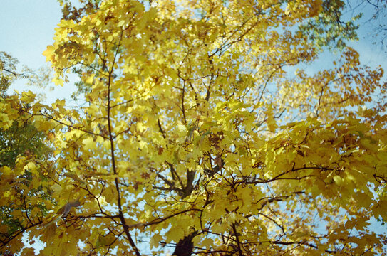 Autumn is near
