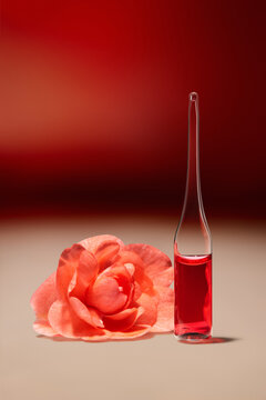 Camellia and a test tube with red liquid are on display.