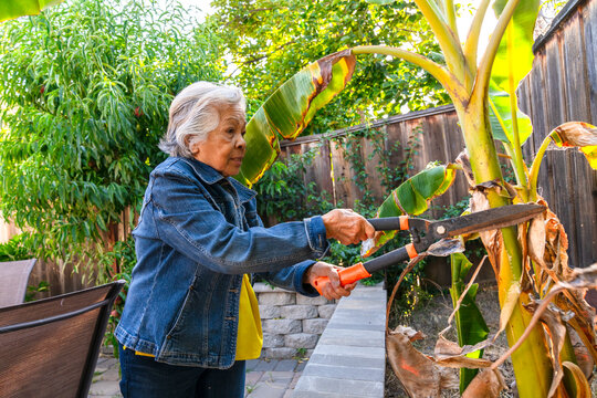 senior gardening yard work 