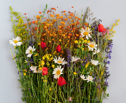 Spontaneous arrangement