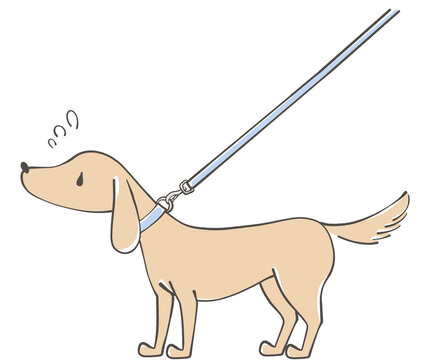 リードが張って困っている犬のイラスト