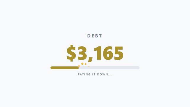 Managing Your Finances Tracking Debt Reduction and Progress Towards Financial Freedom
