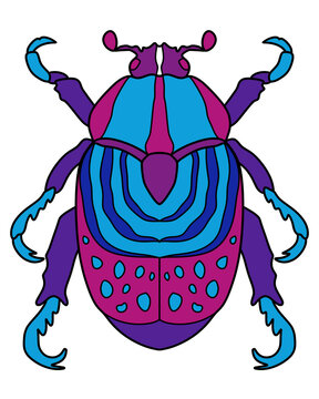 insect illustration