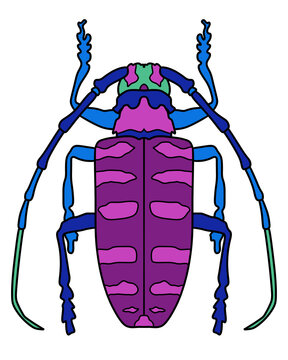 violet insect vector illustration