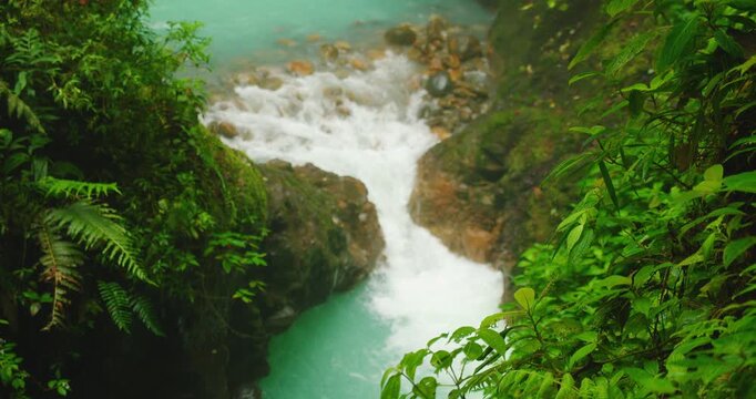 Rushing turquoise river water flowing past mossy rocks and lush foliage, closeup focused view of greenery