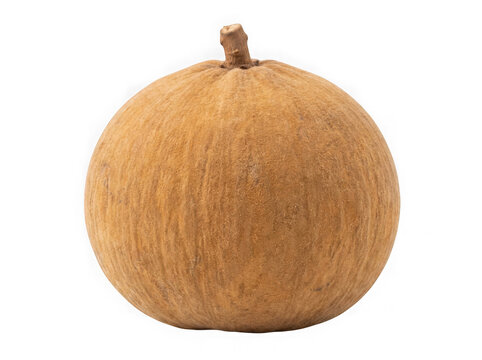Fresh round santol fruit with brown fuzzy skin isolated on white background isolated on transparent background